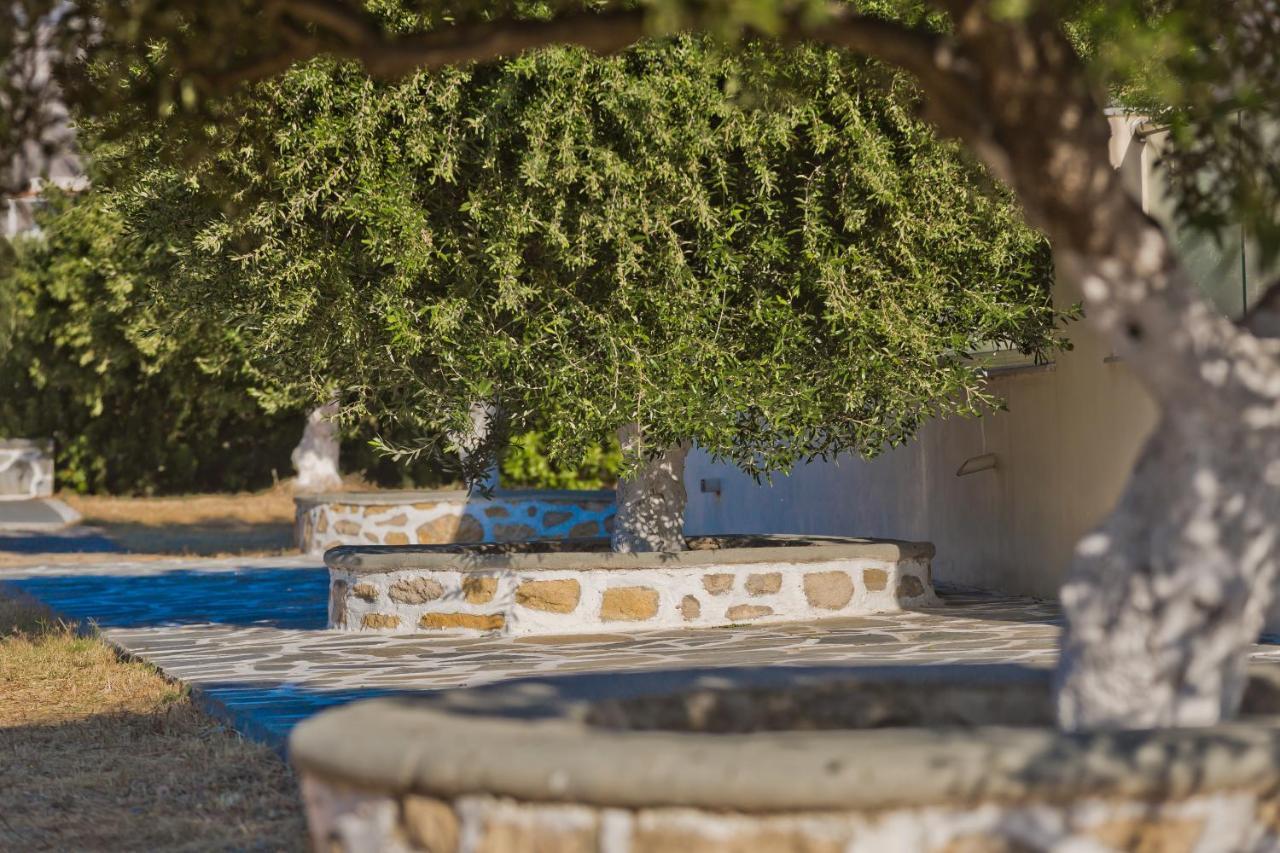 Olive Studios Karpathos Studio #4 Ngoại thất bức ảnh