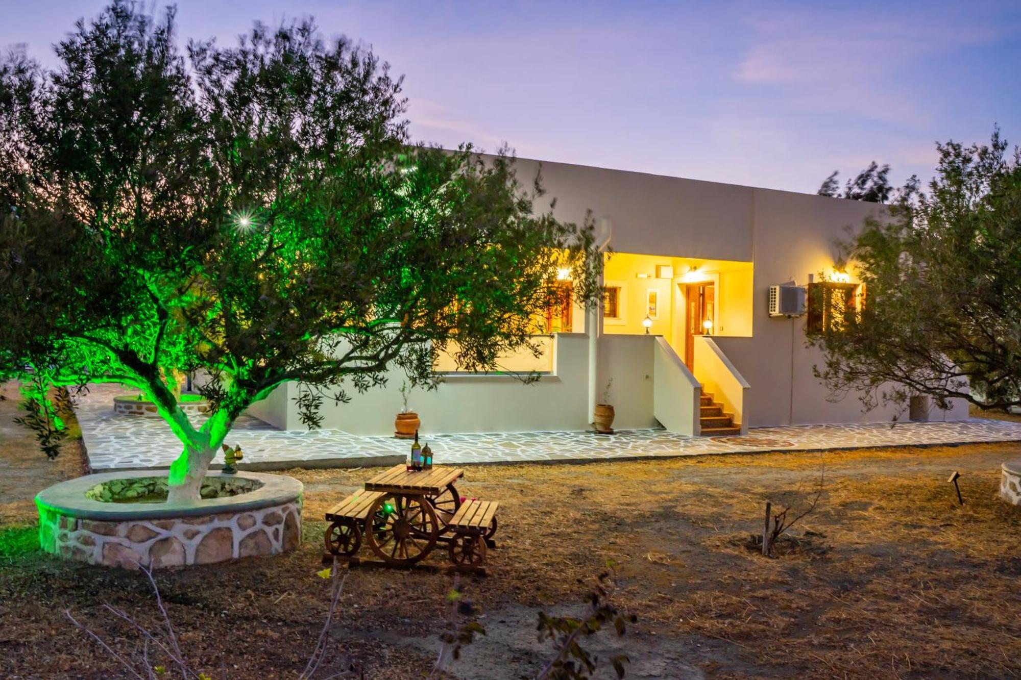 Olive Studios Karpathos Studio #4 Ngoại thất bức ảnh
