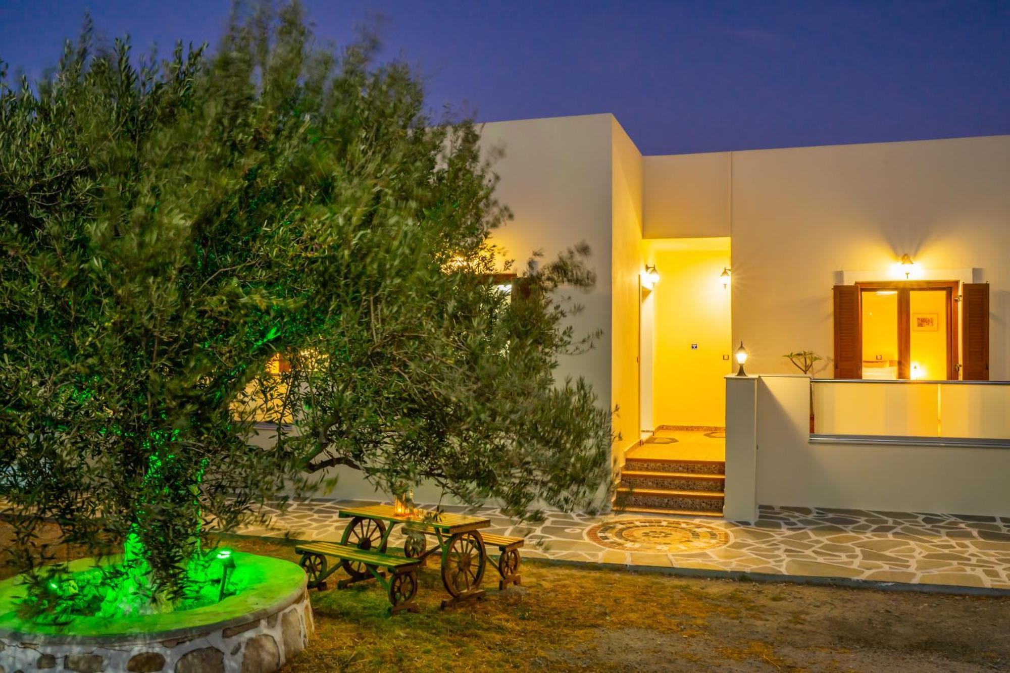 Olive Studios Karpathos Studio #4 Ngoại thất bức ảnh