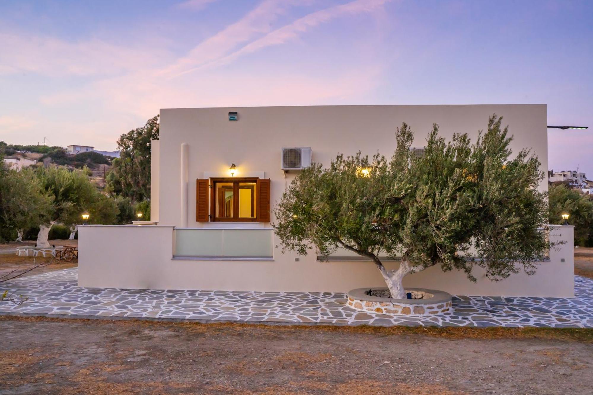 Olive Studios Karpathos Studio #4 Ngoại thất bức ảnh