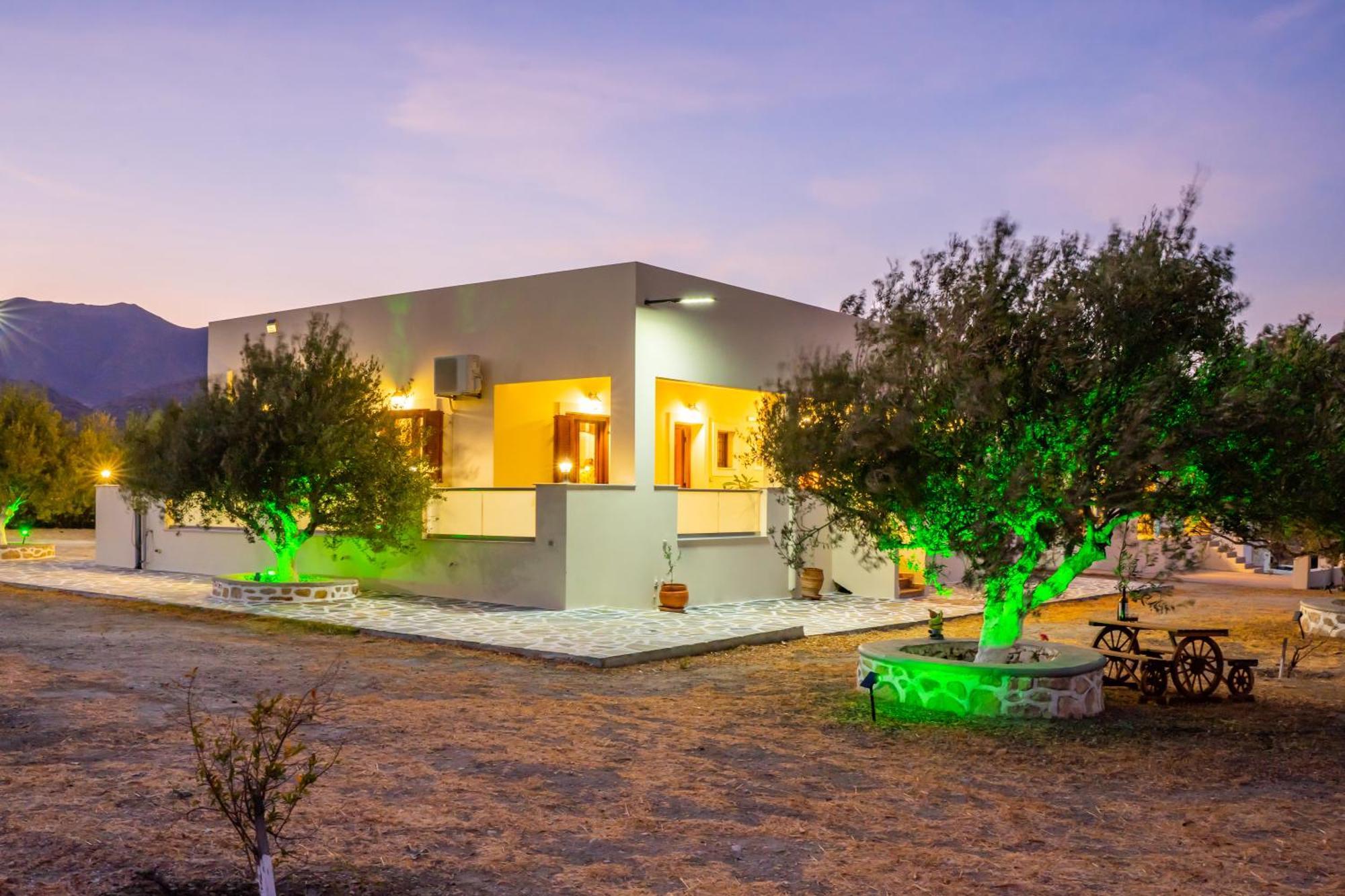 Olive Studios Karpathos Studio #4 Ngoại thất bức ảnh