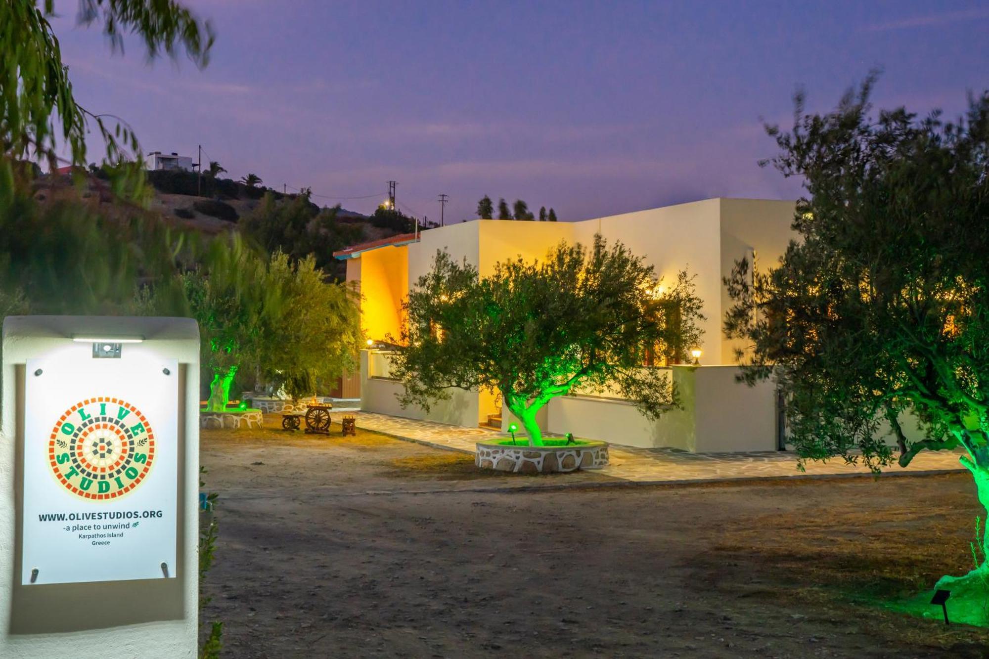 Olive Studios Karpathos Studio #4 Ngoại thất bức ảnh
